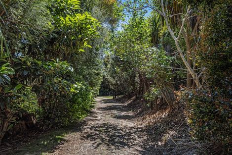 Photo of property in 937b Herepuru Road, Matata, Whakatane, 3194