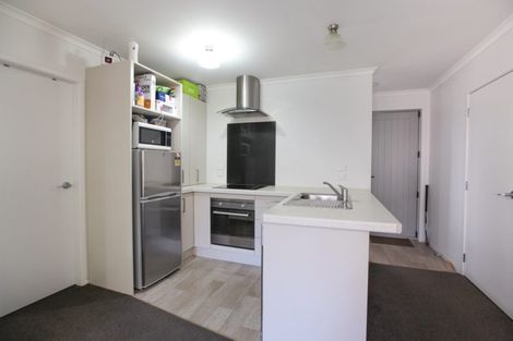 Photo of property in 48u1 Fifth Avenue, Enderley, Hamilton, 3214