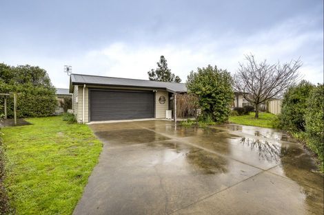 Photo of property in 60 Kirkwood Road, Flaxmere, Hastings, 4120