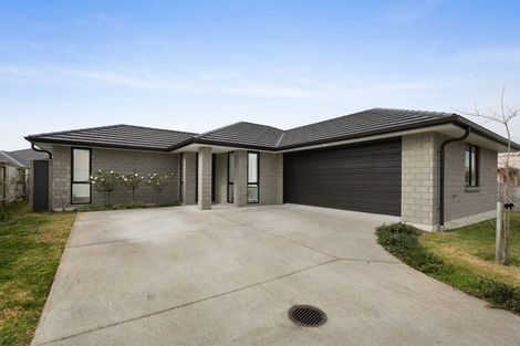 Photo of property in 2/10d Clive Road, Katikati, 3129
