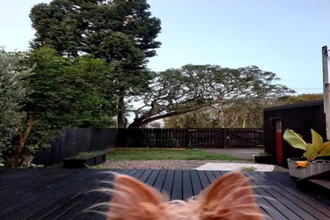 Photo of property in 2 Jutland Road, Pukekohe, 2120