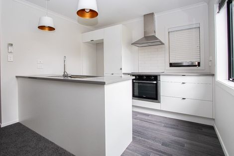 Photo of property in 16u4 Rothwell Street, Dinsdale, Hamilton, 3204