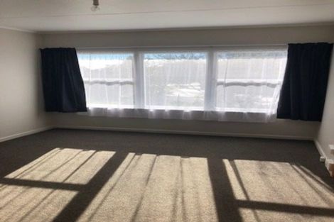 Photo of property in 217 Hill Street, Richmond, 7020