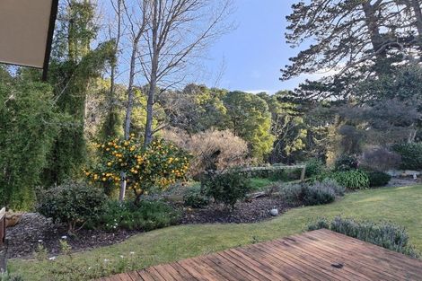Photo of property in 24 Riley Place, Fitzroy, Hamilton, 3206