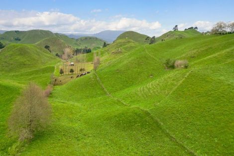 Photo of property in 344 Galatos Road, Atiamuri, Rotorua, 3077
