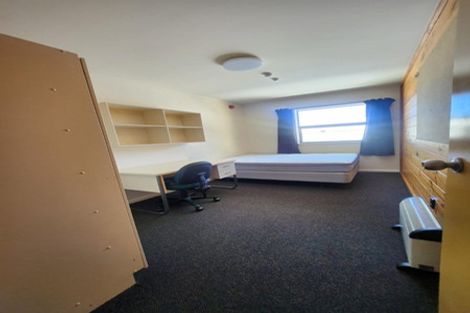 Photo of property in Drummond Street Flats, 21/19u Drummond Street, Mount Cook, Wellington, 6021