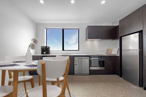 Photo of property in Aniva Terrace, 21 Arney Street, Newtown, Wellington, 6021