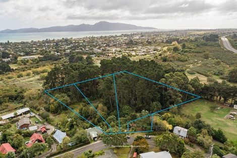 Photo of property in 63 Leinster Avenue, Raumati South, Paraparaumu, 5032