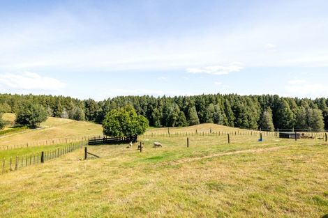 Photo of property in 97 Ngaroto Road, Te Awamutu, Ohaupo, 3883