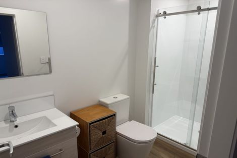 Photo of property in 211/2 Onepu Road, Kilbirnie, Wellington, 6022