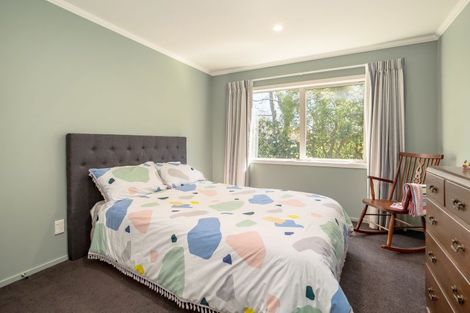 Photo of property in 38 Colville Street, Masterton, 5810
