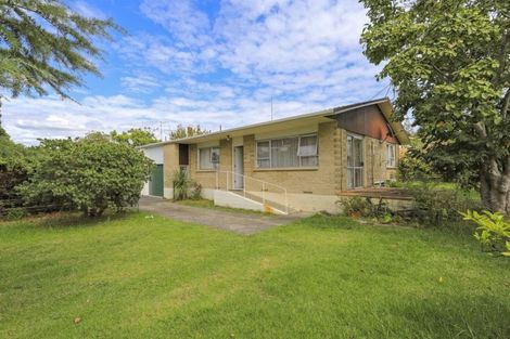 Photo of property in 110a Hinewa Road, Otumoetai, Tauranga, 3110