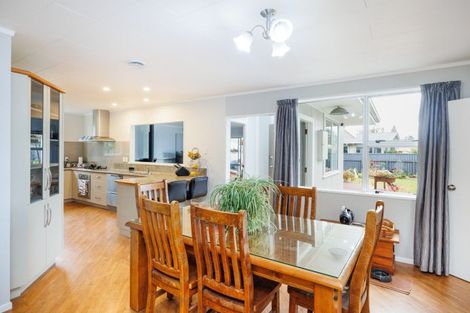 Photo of property in 145 Stanford Street North, Ashhurst, 4810