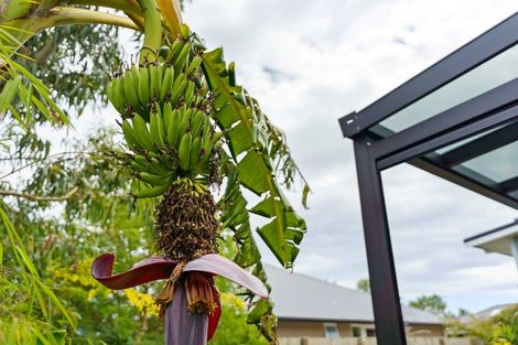 Photo of property in 27a Parata Street, Waikanae, 5036