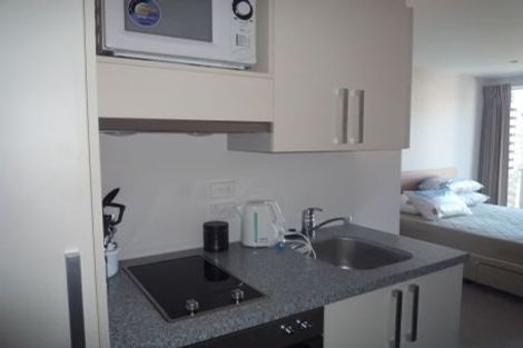 Photo of property in Dual Apartments, 108/142u Vivian Street, Te Aro, Wellington, 6011