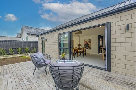 Photo of property in 32 Ashford Avenue, Hokowhitu, Palmerston North, 4410