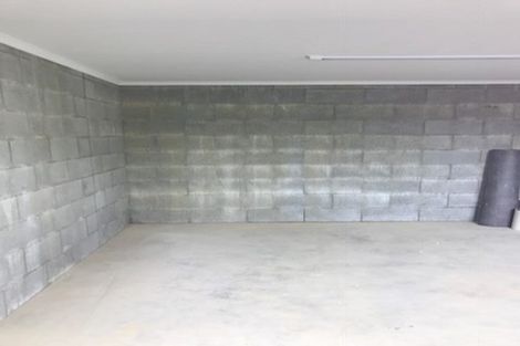 Photo of property in 147 Tasman Street, Mount Cook, Wellington, 6021