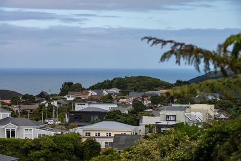 Photo of property in 149a Karepa Street, Brooklyn, Wellington, 6021