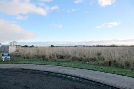 Photo of property in 8 Reremoana Close, Hawera, 4610