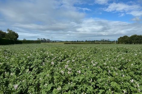 Photo of property in 314 Campbell Road, Richmond Downs, Walton, 3475