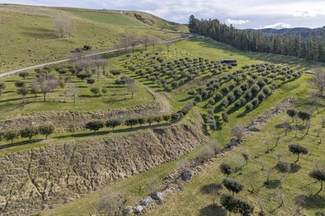 Photo of property in 101 Laidmore Road, Broomfield, 7482