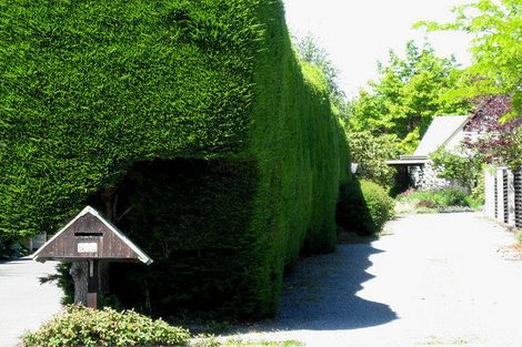 Photo of property in 54b Greers Road, Burnside, Christchurch, 8041