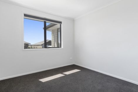 Photo of property in 78 Bert Wall Drive, Omokoroa, 3114