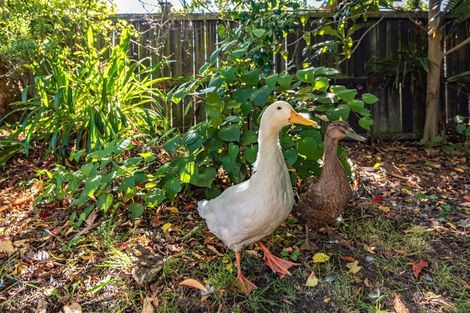 Photo of property in 14 Marshall Avenue, Whanganui East, Whanganui, 4500