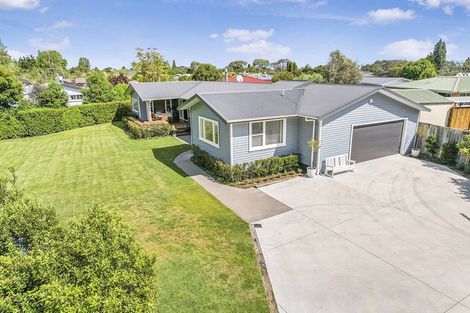 Photo of property in 22 Carlyle Avenue, Chartwell, Hamilton, 3210