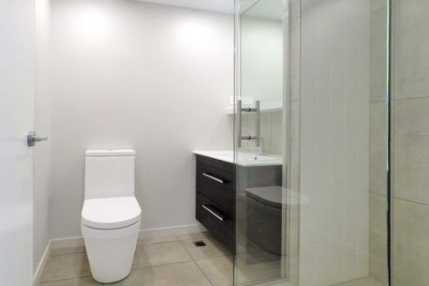 Photo of property in Vsp South, 305/168u Victoria Street, Te Aro, Wellington, 6011
