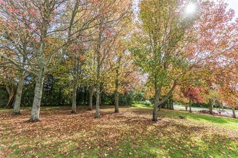 Photo of property in 4/57 Nikau Street, New Lynn, Auckland, 0600