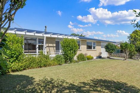 Photo of property in 48 Kennedy Drive, Levin, 5510