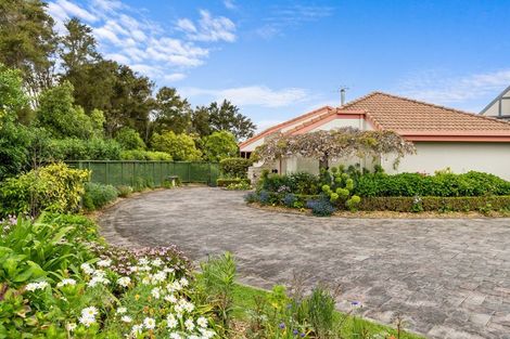 Photo of property in 25 Munro Place, Flagstaff, Hamilton, 3210