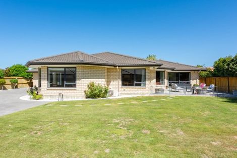 Photo of property in 19 Hilton Place, Blenheim, 7201