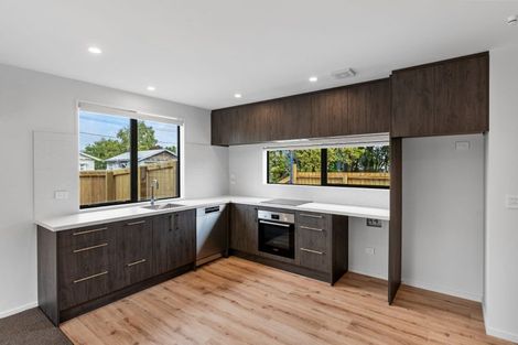 Photo of property in 1/141 Neville Street, Spreydon, Christchurch, 8024