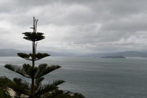 Photo of property in 100b Grafton Road, Thames, 3500