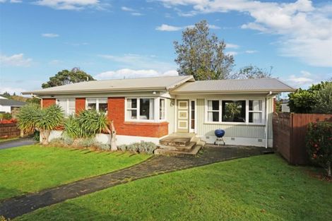 Photo of property in 20 Mason Avenue, Pukekohe, 2120