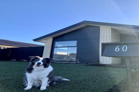 Photo of property in 60 Nethercote Way, Rolleston, 7614