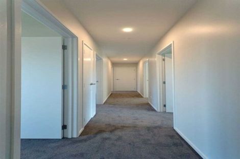 Photo of property in 55 Zabeel Street, Lincoln, 7608