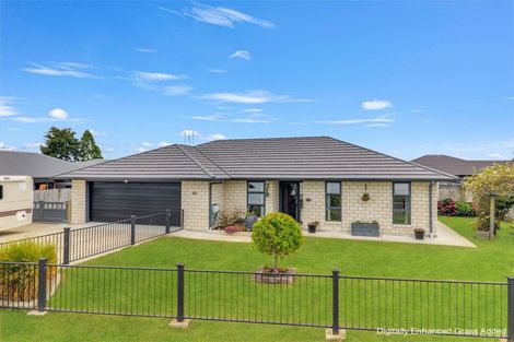 Photo of property in 63 Darlington Street, Ngatea, 3503