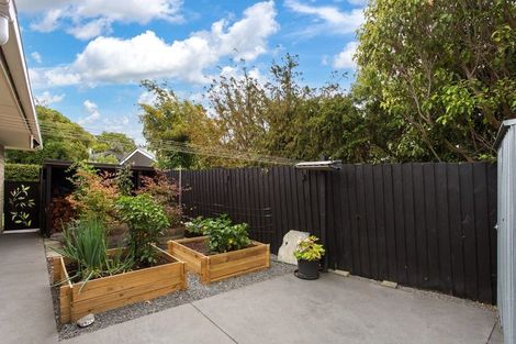 Photo of property in 29 Wades Avenue, Saint Martins, Christchurch, 8022