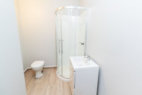 Photo of property in 19 Douglas Street, Mount Cook, Wellington, 6021