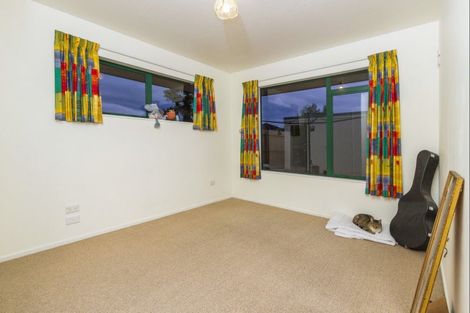 Photo of property in 17 Paramu Place, Richmond, 7020