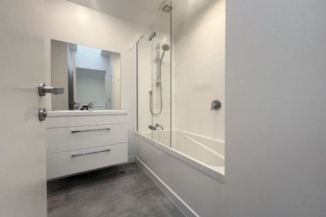 Photo of property in 3ul Papawai Terrace, Mount Cook, Wellington, 6021