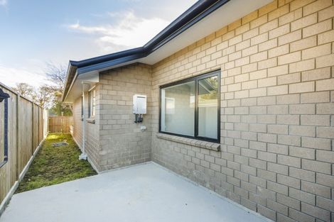 Photo of property in 29a Chelwood Street, Takaro, Palmerston North, 4412