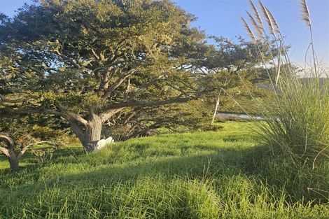 Photo of property in 47 Matahehe Lane, Tinopai, 0593