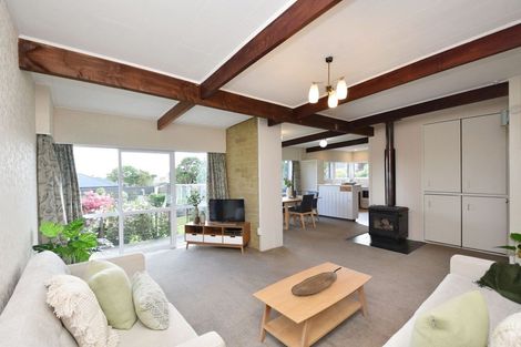Photo of property in 12 Kauri Terrace, Hargest, Invercargill, 9810