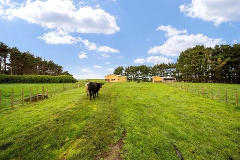 Photo of property in 69 Iredale Road, Hawera, 4610