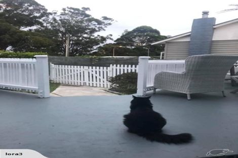 Photo of property in 29 Glenview Road, Glen Eden, Auckland, 0602