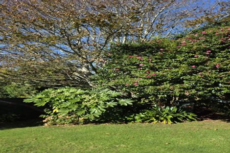 Photo of property in 11 Cannon Street, Westown, New Plymouth, 4310